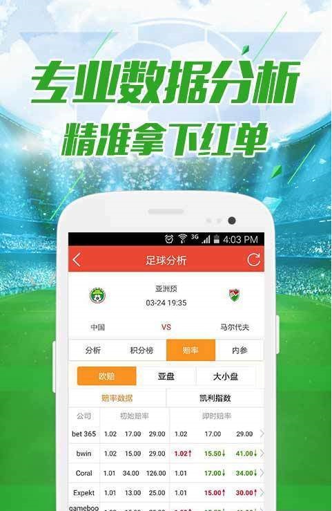 香港澳门彩开奖结果查询记录，精选解析解释落实
