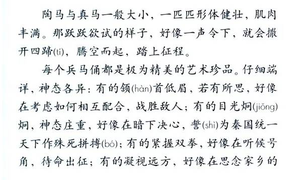 澳门一码一肖一拐一特，词语释义解释落实